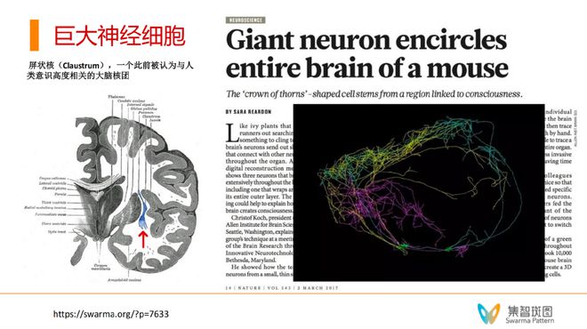 “意识机器”初探：如何让大语言模型具备自我意识？插图17