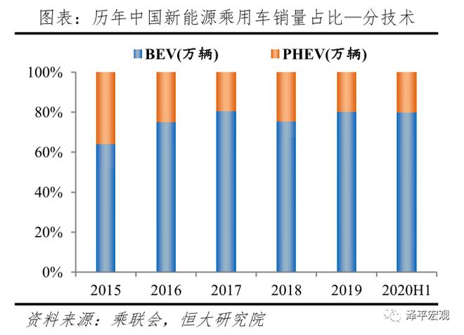 中国新能源汽车发展报告：2020插图11