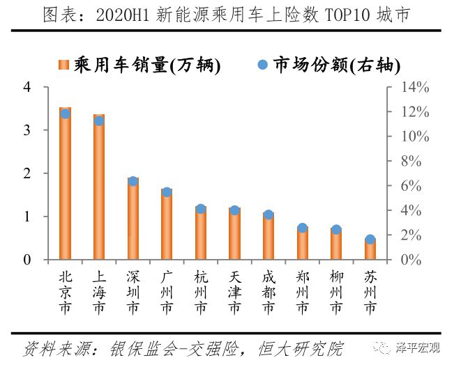 中国新能源汽车发展报告：2020插图12