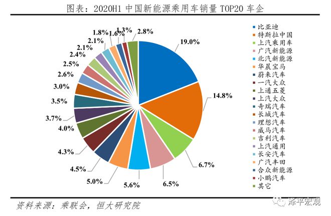 中国新能源汽车发展报告：2020插图18