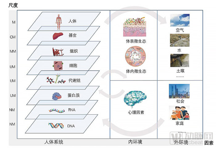 计算医学白皮书发布，数据和计算正在加速改变医学插图