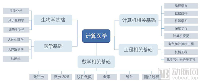 计算医学白皮书发布，数据和计算正在加速改变医学插图2