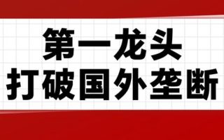 AI细分第一龙头，打破垄断市占率第一，成长逻辑太好！