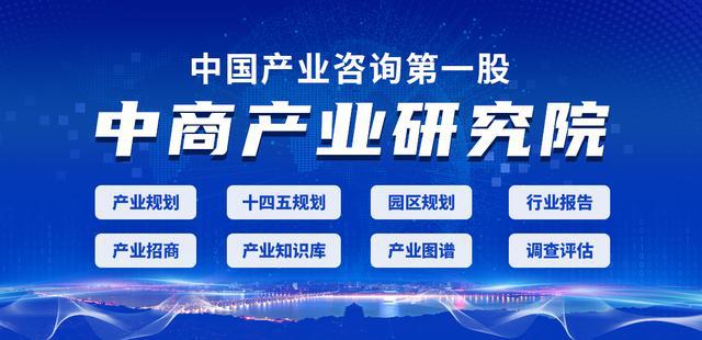 2022年中国人工智能行业市场前景及投资研究报告（简版）插图