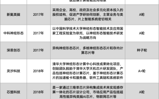 AI芯片，国产发展得如何了？