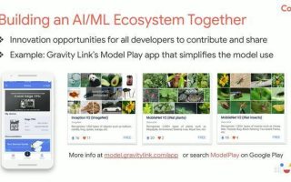 5种AI编程语言优缺点比较，谁才是程序员心中的白月光