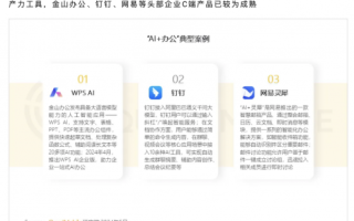 QM2024洞察办公行业发展，WPS AI会员灰测商业价值再提升