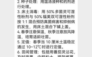 中数引擎AI乡村GPT助手迈入测试阶段