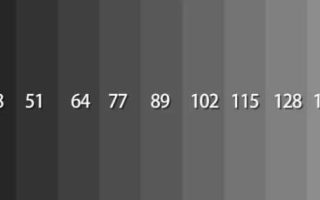 如何制作AI写真美女？分享3种妙招