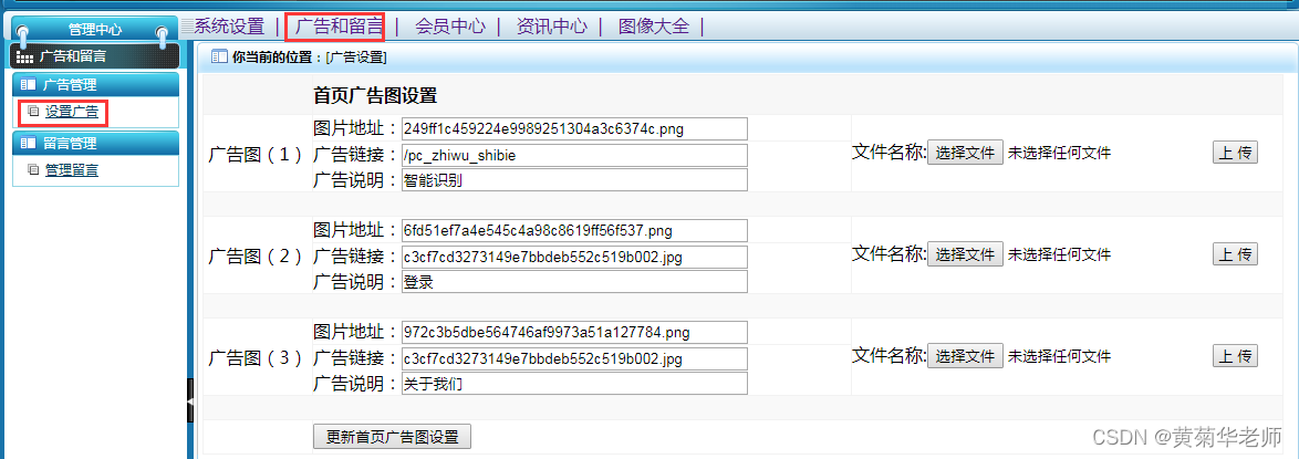 基于Java(SpringBoot框架)毕业设计作品成品（35）AI人工智能毕业设计AI图像卡通动漫化图像风格迁移系统设计与实现插图10