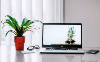 AI新年头像模板有哪些？个性化龙年头像制作软件强烈推荐