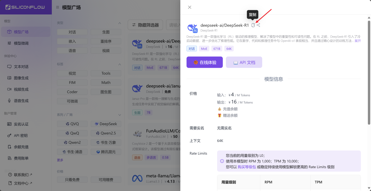 使用SiliconCloud高速畅享DeepSeek-R1 AI模型插图8