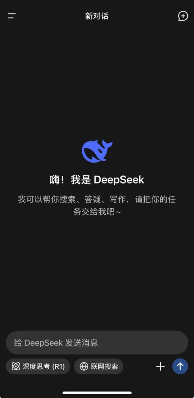 最全的DeepSeek访问以及使用方法插图7