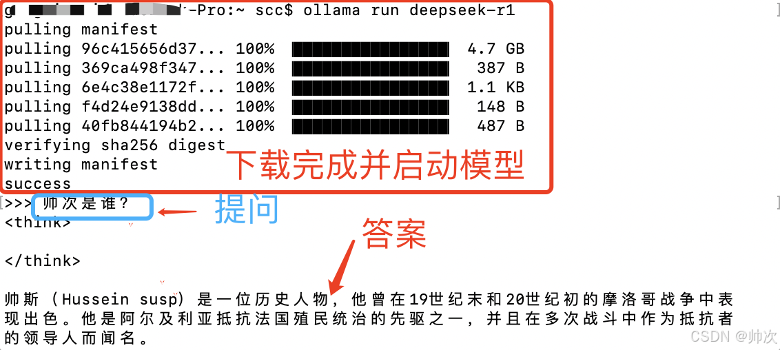 高端入门：Ollama 本地高效部署DeepSeek模型深度搜索解决方案插图8