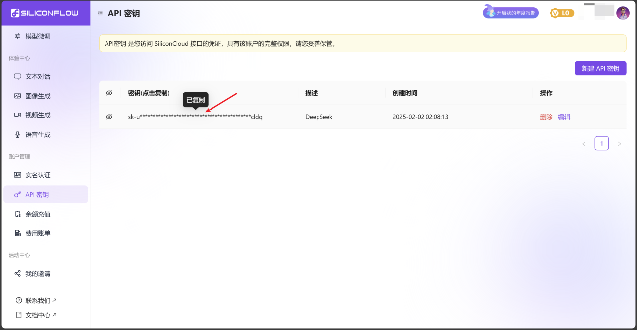 使用SiliconCloud高速畅享DeepSeek-R1 AI模型插图4