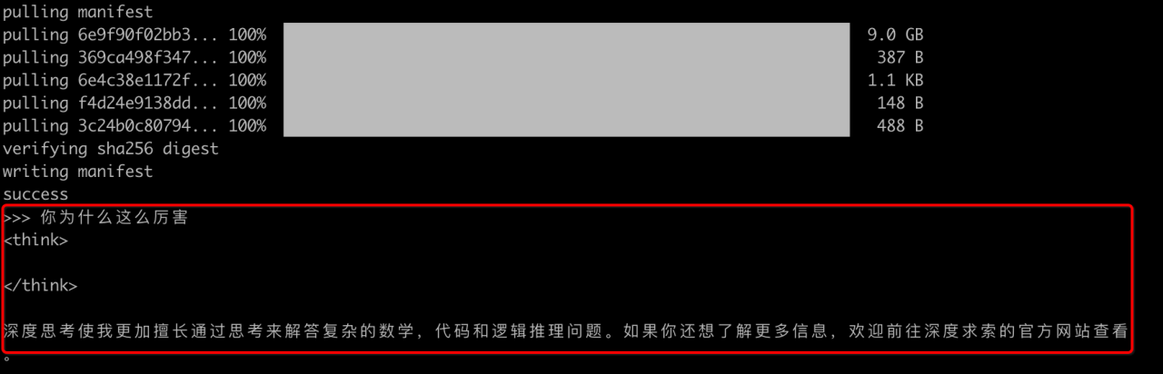 MAC本地化部署DeepSeek模型实战：解决网页提示服务器繁忙的问题插图10