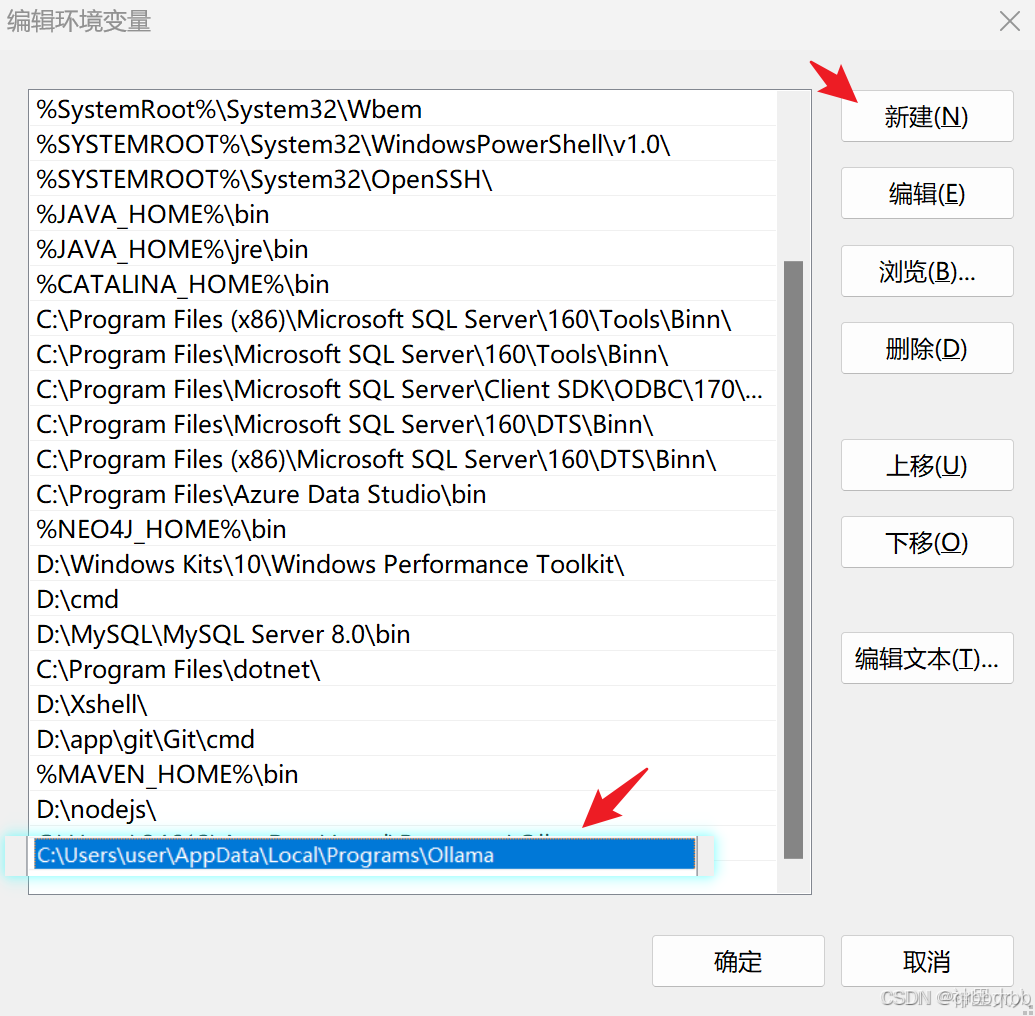 通过Ollama将deepseek模型部署到指定路径插图3