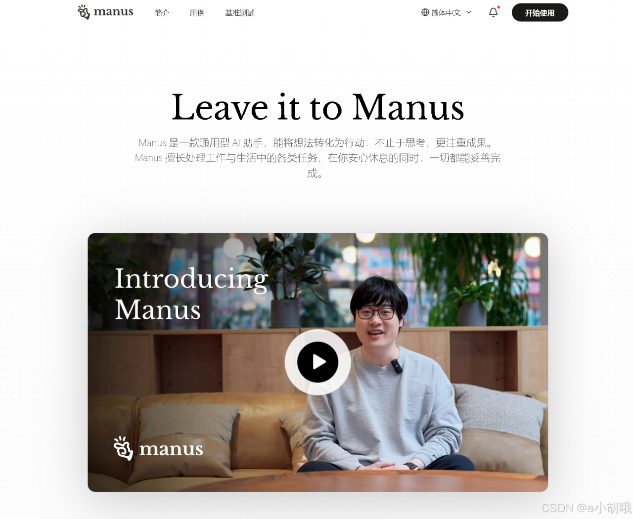 一文搞懂 AI Agent 与 AI 大模型的区别插图